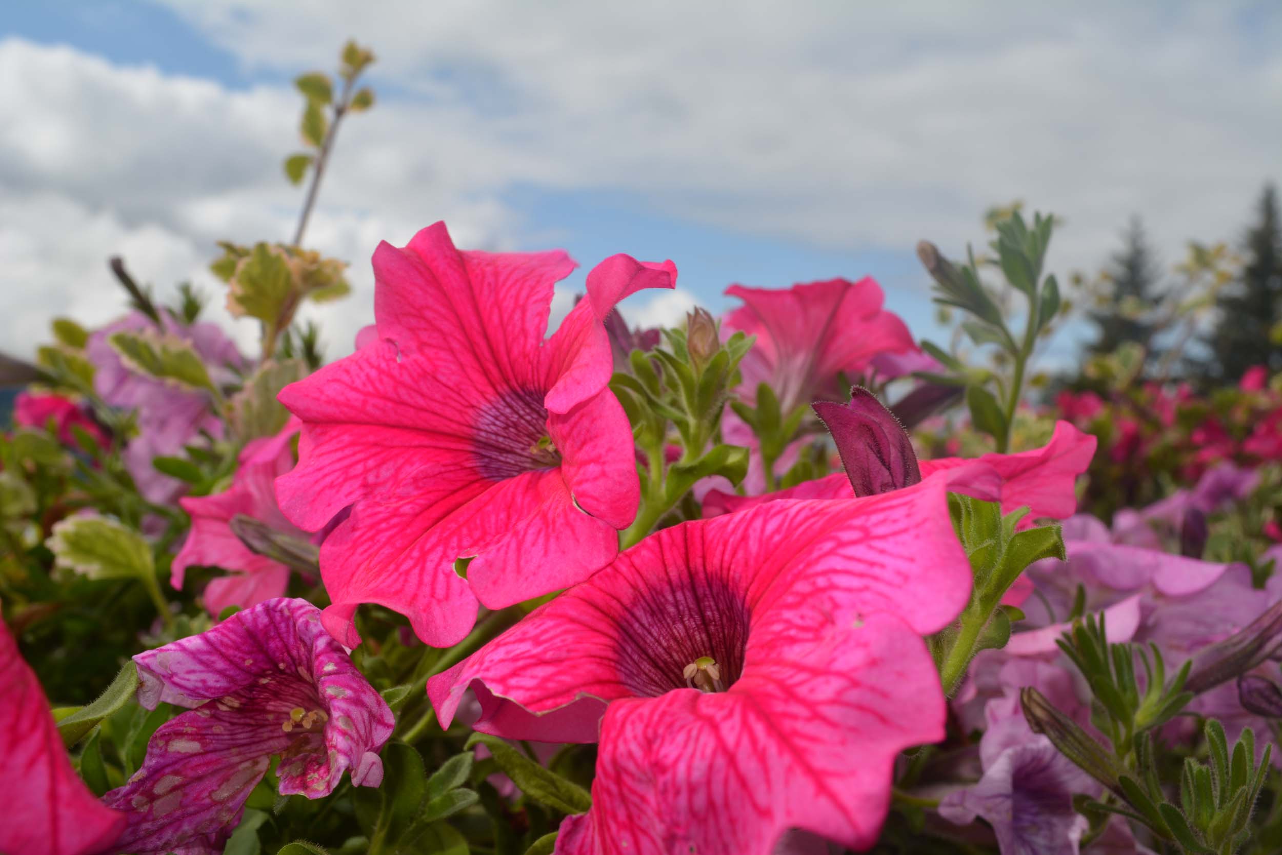13 Apartment Panorama 8.jpg